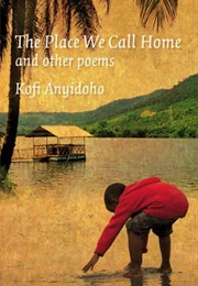 The Place We Call Home (Kofi Anyidoho)
