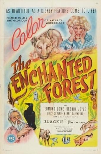 The Enchanted Forest (1945)
