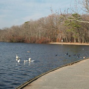 Belmont Lake State Park