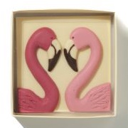 Choconchoc Flamingos