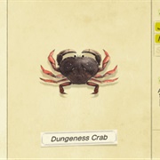 Dungeness Crab