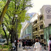 Omotesando