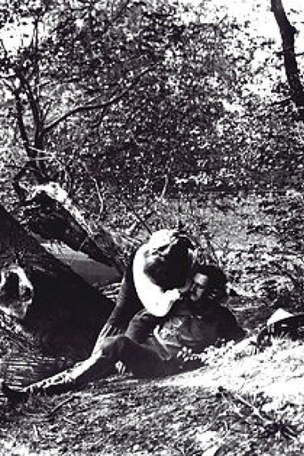 The Robber's Sweetheart (1907)