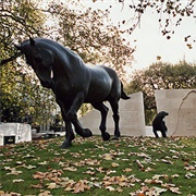 Animals in War Memorial