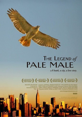 The Legend of Pale Male (2011)