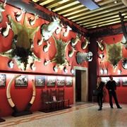 Natural History Museum