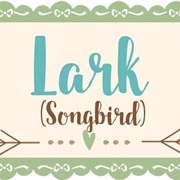 Lark