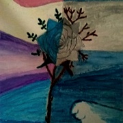 Fall and Winter Rose Meagan Scribner