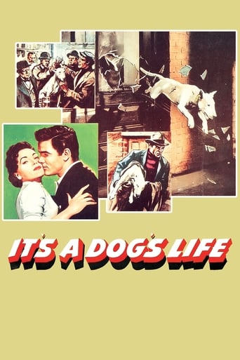 It's a Dog's Life (1955)