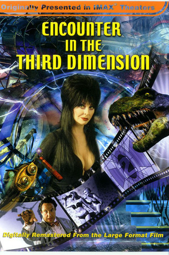 Encounter in the Third Dimension (1999)