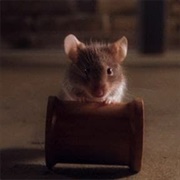 Mr.Jangles (The Green Mile)