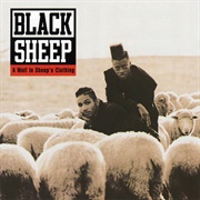Black Sheep - A Wolf in Sheep&#39;s Clothing