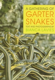 A Gathering of Garter Snakes (Bianca Lavies)