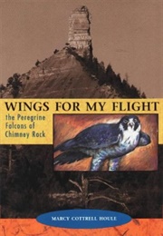 Wings for My Flight (Marcy Cottrell Houle)