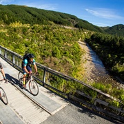 Remutaka Cycle Trail