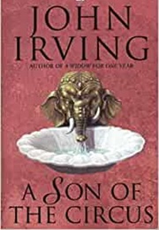 A Son of the Circus (John Irving)
