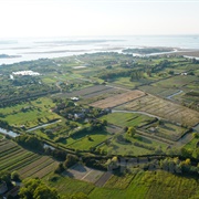 Sant'erasmo (Venice Lagoon), Italy