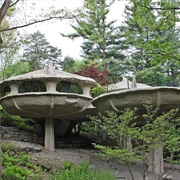 The Mushroom House