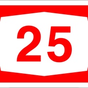 25