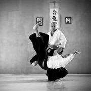 Aikijiujitsu