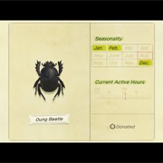 Dung Beetle