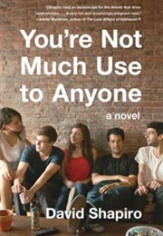 You're Not Much Use to Anyone (David Shapiro Jr.)
