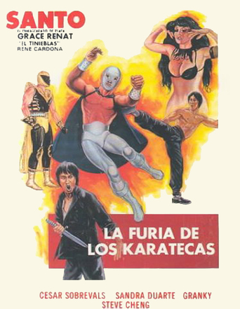 La Furia De Los Karatecas (1982)