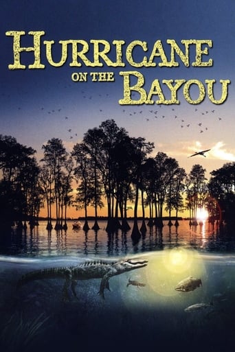 Hurricane on the Bayou (2006)