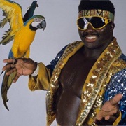 Koko B. Ware