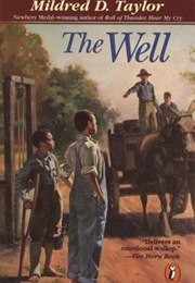 The Well: David's Story (Mildred D. Taylor)