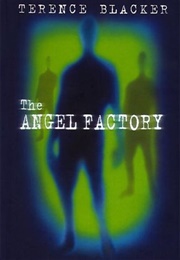 The Angel Factory (Terence Blacker)