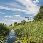 Wicken Fen National Nature Reserve