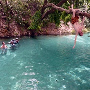 Yankari Game Reserve