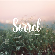 Sorrel