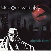 Phoenix Down - Under a Wild Sky