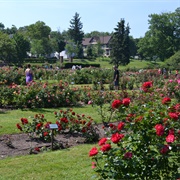 Maplewood Park and Rose Garden
