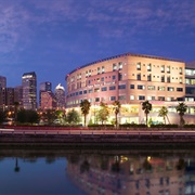 Tampa General Hospital