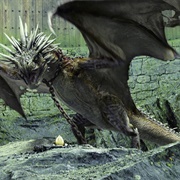 The Hungarian Horntail (Harry Potter and the Goblet of Fire)
