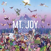 Rearrange Us by Mt. Joy