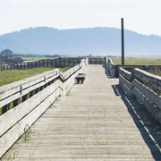 Long Beach WA