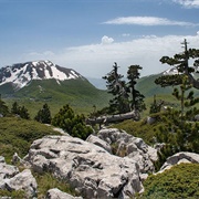 Parco Nazionale Del Pollino