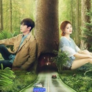 A Journey to Meet Love