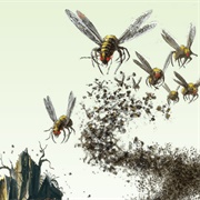 Insect Swarm