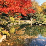 Nakajima Park, Sapporo