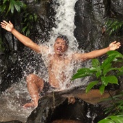 Brownsberg Nature Park