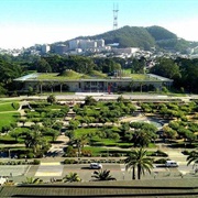 Golden Gate Park (Japanese Tea Garden, Academy of Sciences, De Young Museum, Botanical Garden)