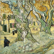 Saint-Rémy-De-Provence, France