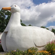 Big Duck