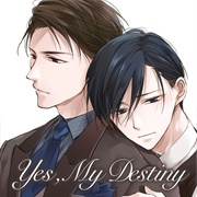 Kashikomarimashita Destiny