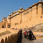 Amber Fort, Jaipur